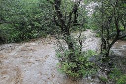 هشدار هواشناسی| تگرگ سنگین و رعد و برق و رگبارشدید در تهران و این مناطق|اسامی 