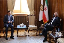 دیدار مهم عزیزی خادم با دکتر ظریف؛درخواست برای رایزنی دستگاه دیپلماسی