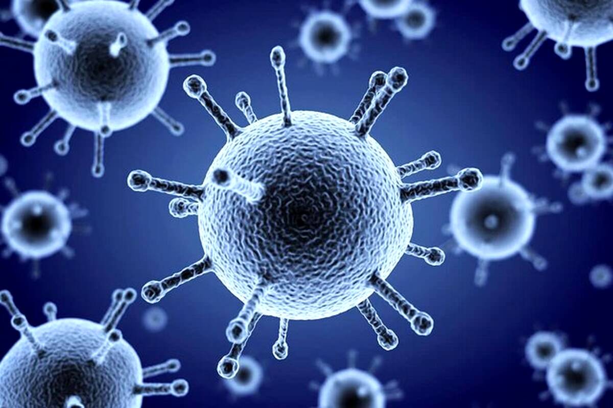 اولین مبتلای ویروس جدید شناسایی شد