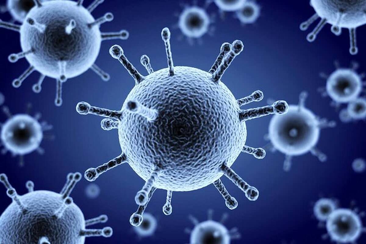 اولین مبتلای ویروس جدید شناسایی شد