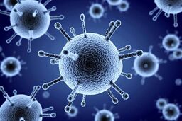 اولین مبتلای ویروس جدید شناسایی شد