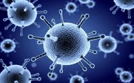 اولین مبتلای ویروس جدید شناسایی شد