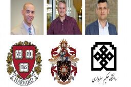 تحقیقی مهم درباره مفصل زانوی ورزشکاران