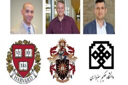 تحقیقی مهم درباره مفصل زانوی ورزشکاران