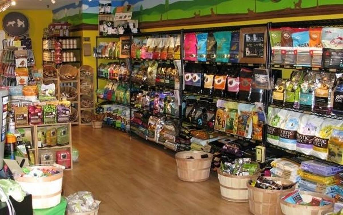 مزایای خرید آنلاین از پت شاپ