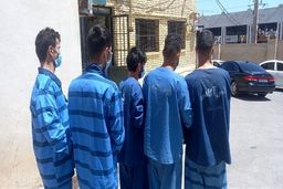 فوری: سارقان حرفه ای ساختمان به دام افتادند