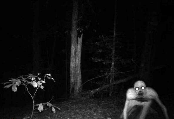 حقایق باورنکردنی درباره جن‌ها|تصاویر 16+