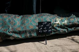 گزارش تصویری تدفین مرحومه آزاده نامداری