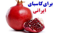 چطور آگهی خود را رایگان ثبت کنیم