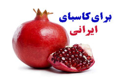 چطور آگهی خود را رایگان ثبت کنیم