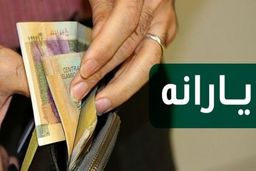 فوری؛یارانه دو برابری نهایی شد+جزئیات کامل پرداختی