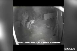 حمله ترسناک پلنگ به روستایی در الموت | فیلم