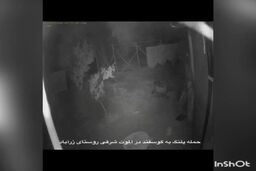 حمله ترسناک پلنگ به روستایی در الموت | فیلم