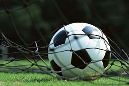 این شترهای فوتبالدوست! + عکس

