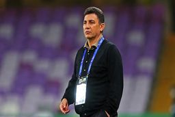 قلعه نویی: ۴۱ سال است که استراحت نکرده ام

