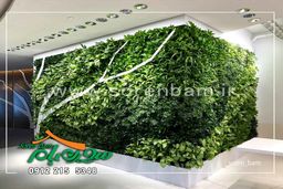 تجربه جدید در خانه و محل کار | طراحی و ایجاد دیوار سبز و بام سبز