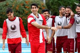 ۶ میلیون یورو، قیمت بیرانوند برای ویتوریا
