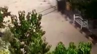 دقایقی پیش|ببینید سیل هولناک دوباره در فیروزکوه