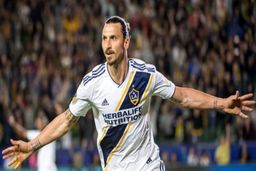 بازگشت به ایتالیا،‌ وجه اشتراک ابراهیموویچ و همسرش

