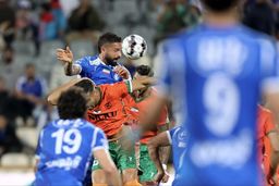 تساوی استقلال با گربه سیاه در آزادی ؛ مس شجاع بود