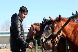 رکوردشکنی سردار آزمون با خرید اسب نیم‌میلیون دلاری! + عکس

