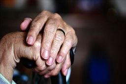  واریز دوباره حقوق برای این دسته از بازنشستگان تامین اجتماعی|متناسب سازی حقوق بازنشستگان به کجا رسید؟
