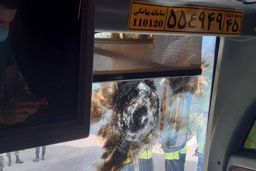 عاملین حمله به پرسپولیسی‌ها اعتراف کردند