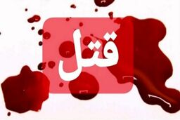 قتل عجیب دانش آموز ۱۴ساله به دست همکلاسی رزمی کار