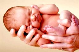 مورچه ها نوزاد دختر را زنده زنده خوردند! + عکس 16+