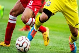 تعطیلی لیگ برتر آخرین گزینه است/ احتمال برگزاری در شهرهای سفید

