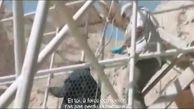  «قهرمان»؛ فیلم پرسروصدای اصغر فرهادی امشب در جشنواره کن|فیلم