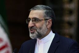 توضیحات سخنگوی قوه قضاییه درباره بازداشت یک پرسپولیسی

