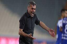 ویسی:ساپینتو دیوانه است و حرف مفت می زند