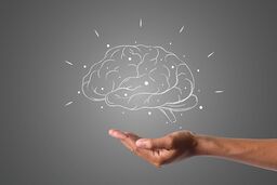 چطور از بیماری آلزایمر پیشگیری کنیم؟کشف بزرگ