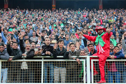 پیشتازی تراکتوری‌ها در نظر سنجی AFC + لینک نظرسنجی

