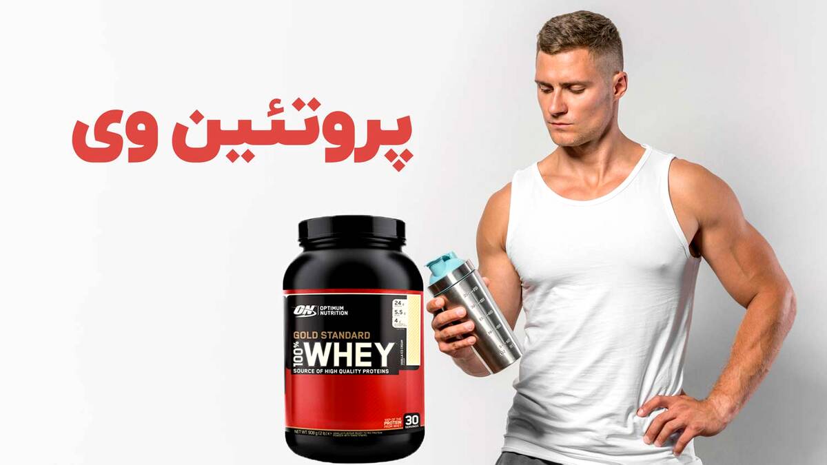 تاثیر پروتئین وی بر روی بدن در بدنسازی چیست