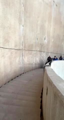  ببینید آبروریزی سوم در آزادی|خراب شدن آسانسور برای سرمربی الهلال