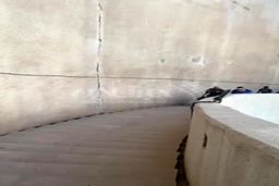  ببینید آبروریزی سوم در آزادی|خراب شدن آسانسور برای سرمربی الهلال