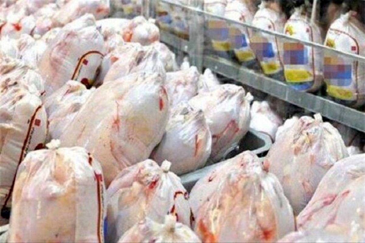 فاجعه در قیمت مرغ|مرغ گران هم نایاب شد